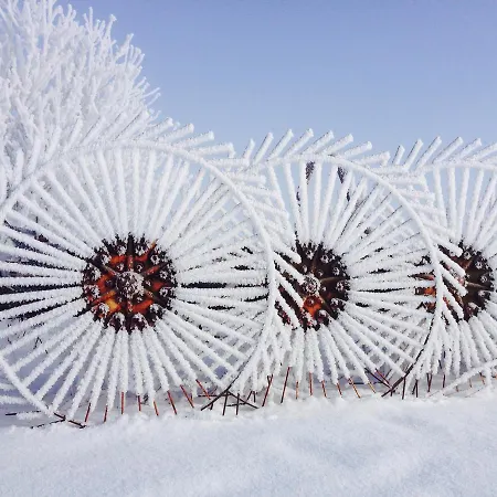 Bed and Breakfast Turmer *